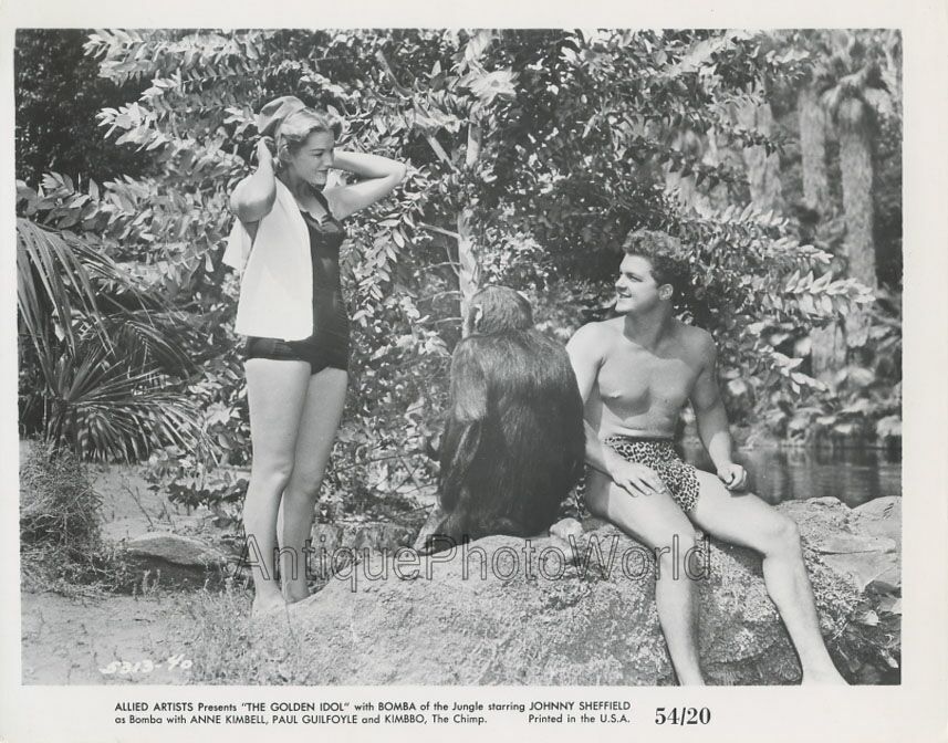The Golden Idol Johnny Sheffield and Anne Kimbell w chimp vintage photo