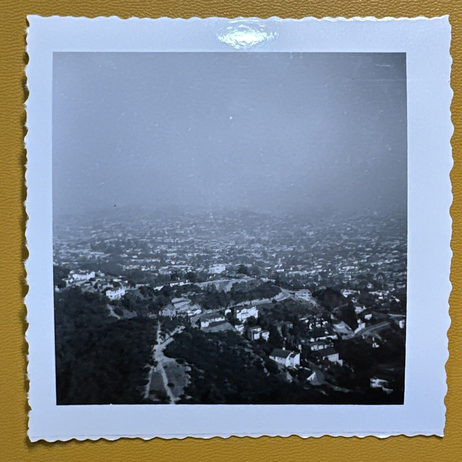 1950s View of Los Angeles VINTAGE PHOTO LA CALIFORNIA original snapshot