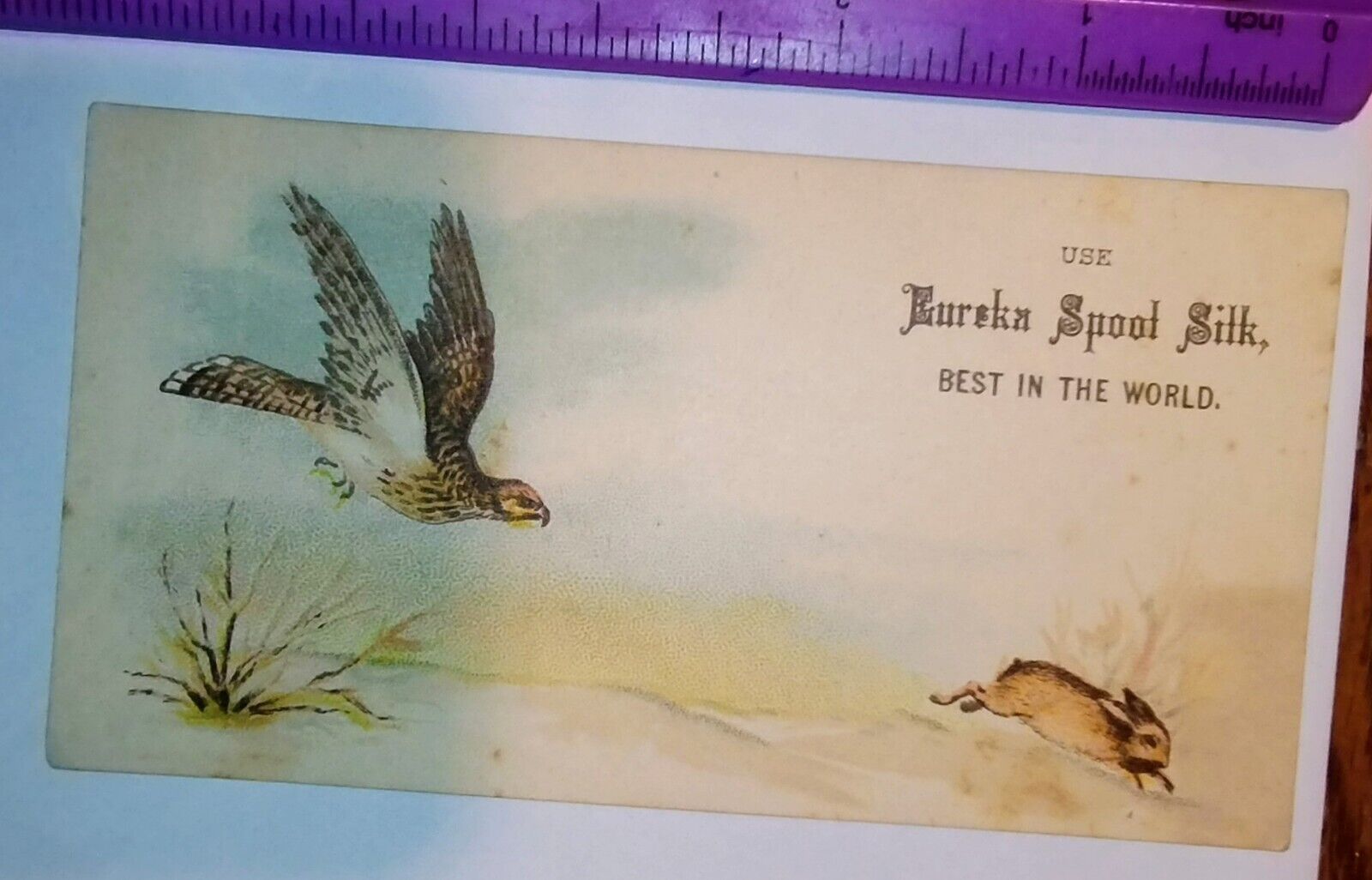 1880\'s Victorian Trade Card - Eureka Spool Silk - Hawk chasing a Running Rabbit 