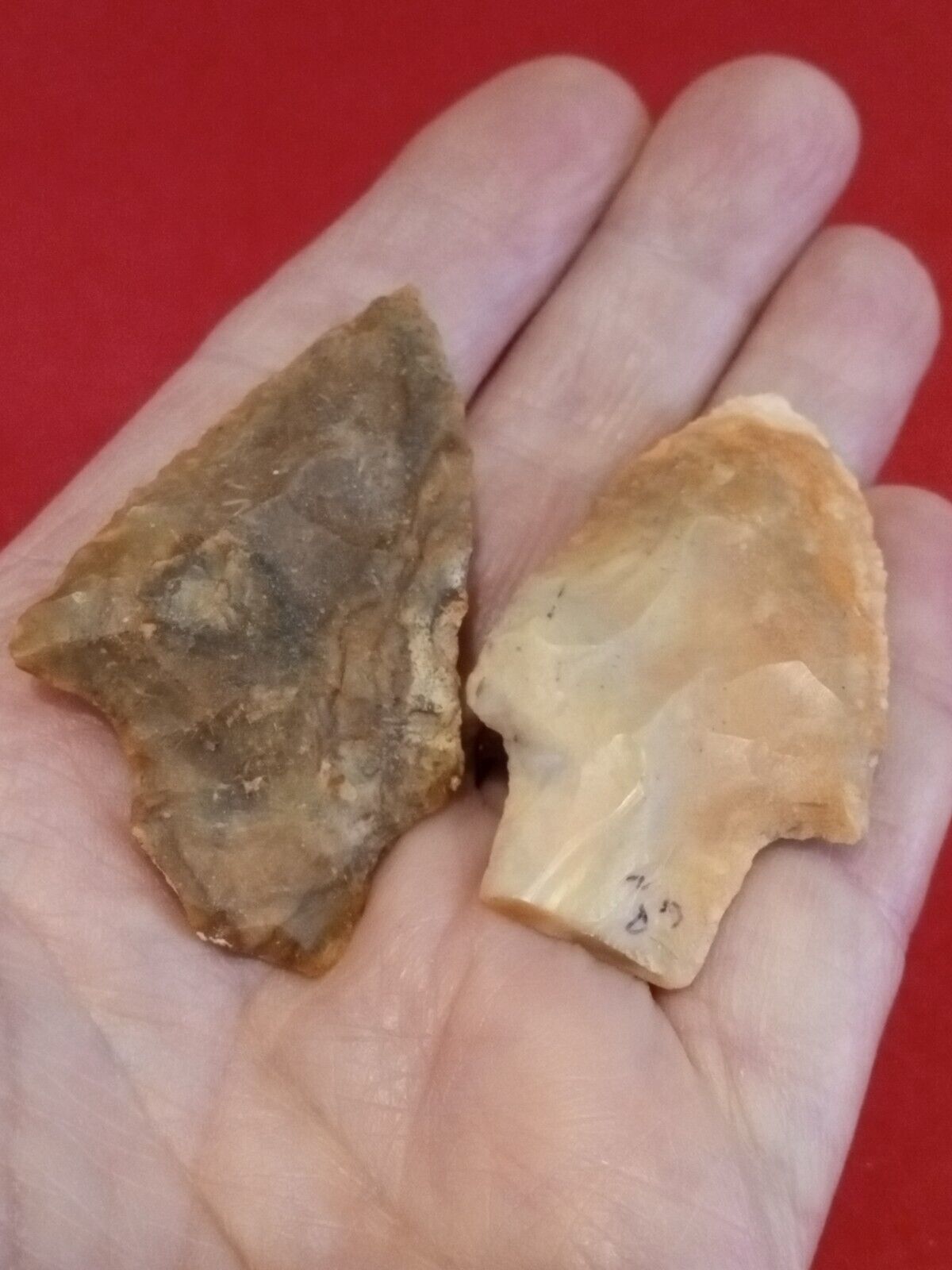 FLORIDA ARCHAIC KIRK STEMMED + GEORGIA HARDEE - TWO AUTHENTIC POINTS