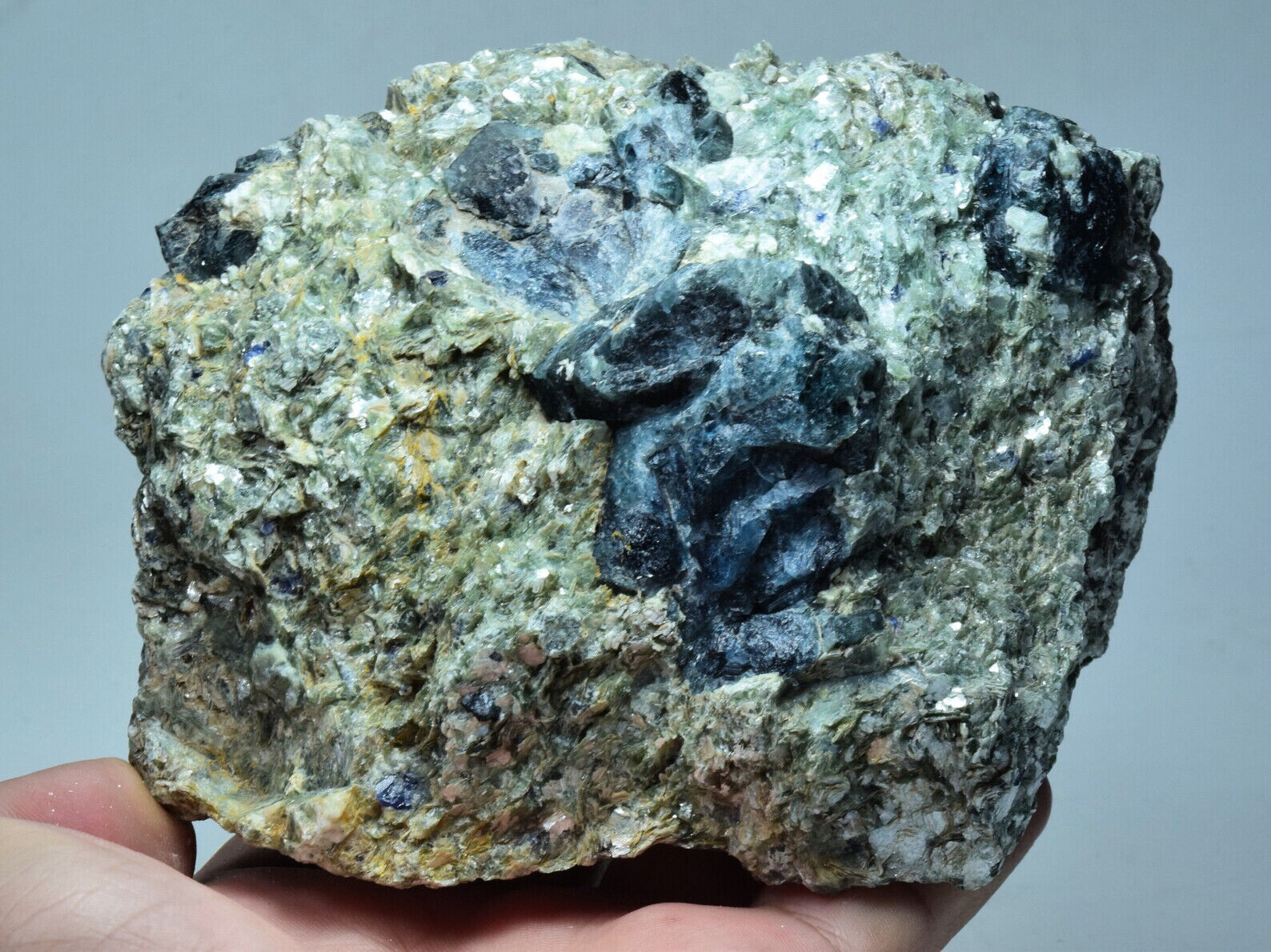 Rare Huge Dravite Tourmaline Crystal with Sapphire On Mica Matrix 1125 Gram