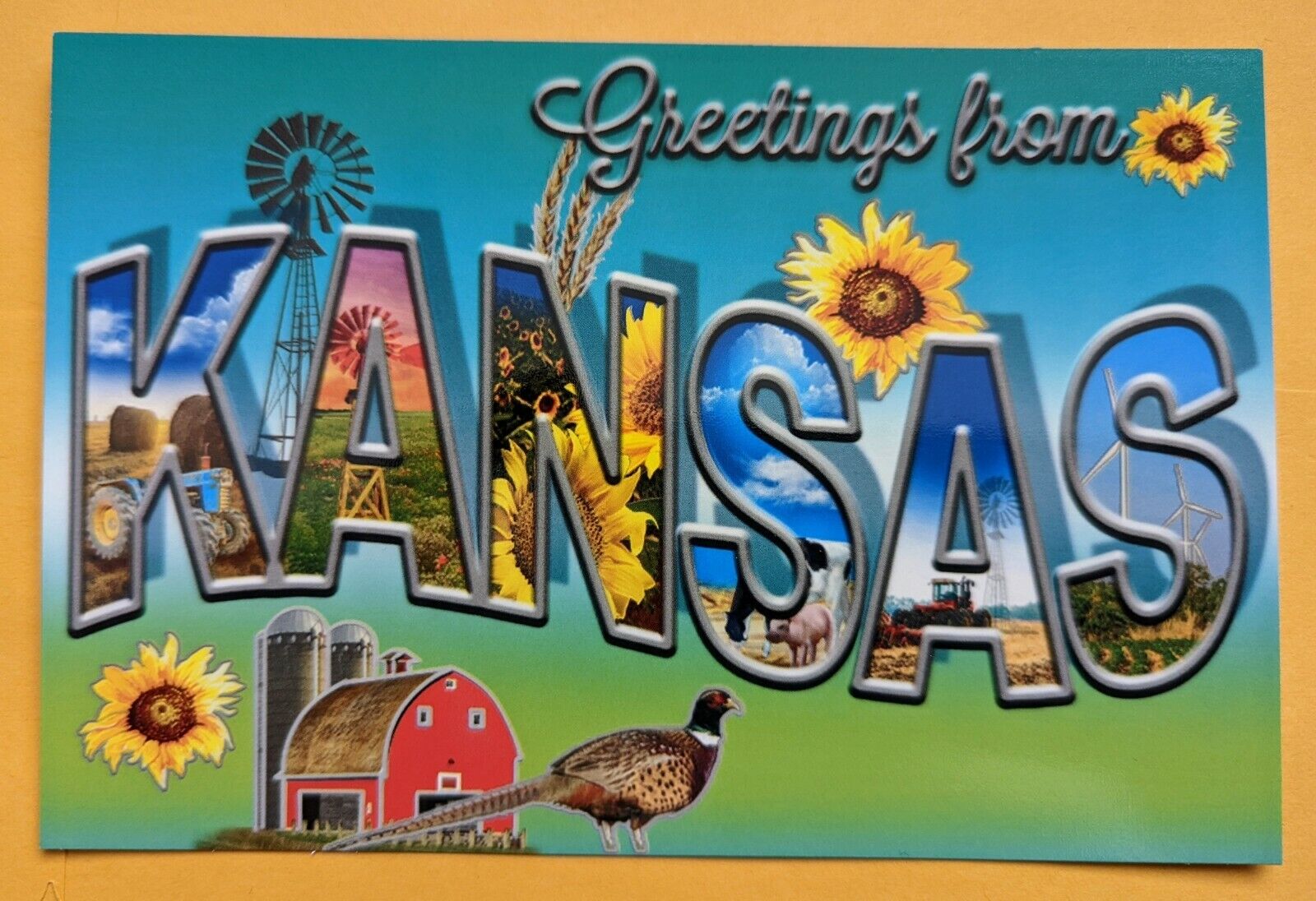 Postcard KS: Greetings from Kansas - The Sunflower State