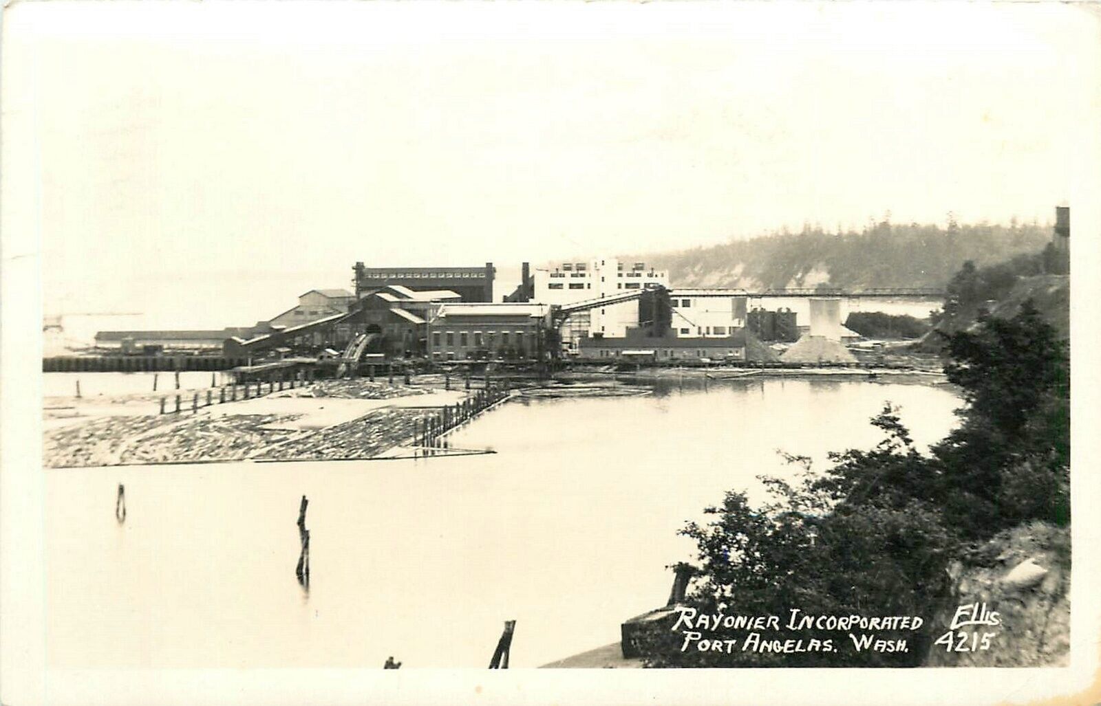 Postcard RPPC 1941 Washington Port Angeles Logging Industry Ellis 24-92