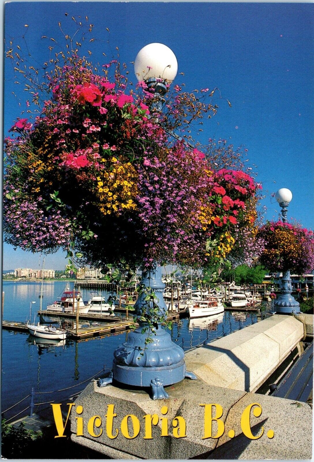 Beautiful Flowers add to the Beauty of Victoria, Canada Postcard