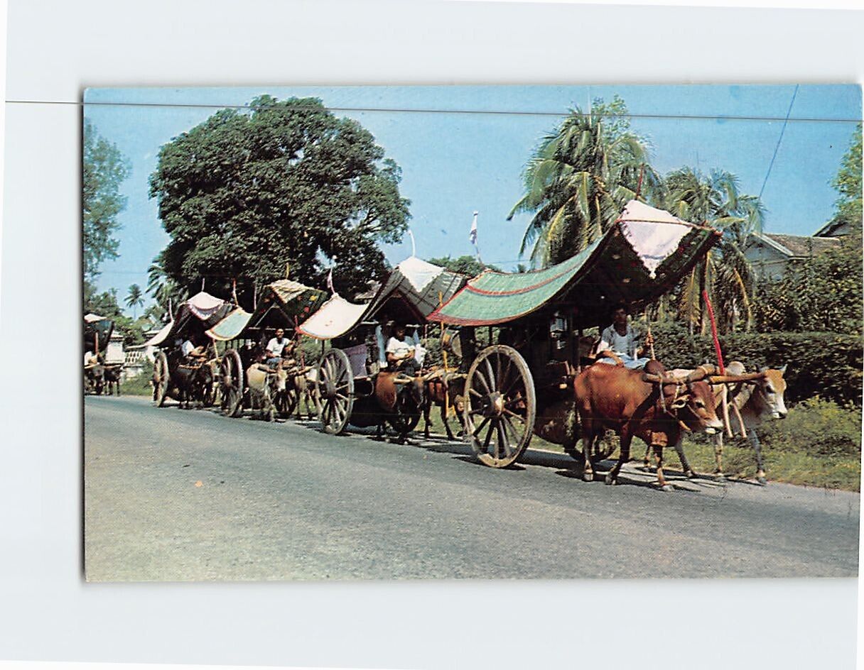 Postcard Bullock Carts Malacca Malaysia