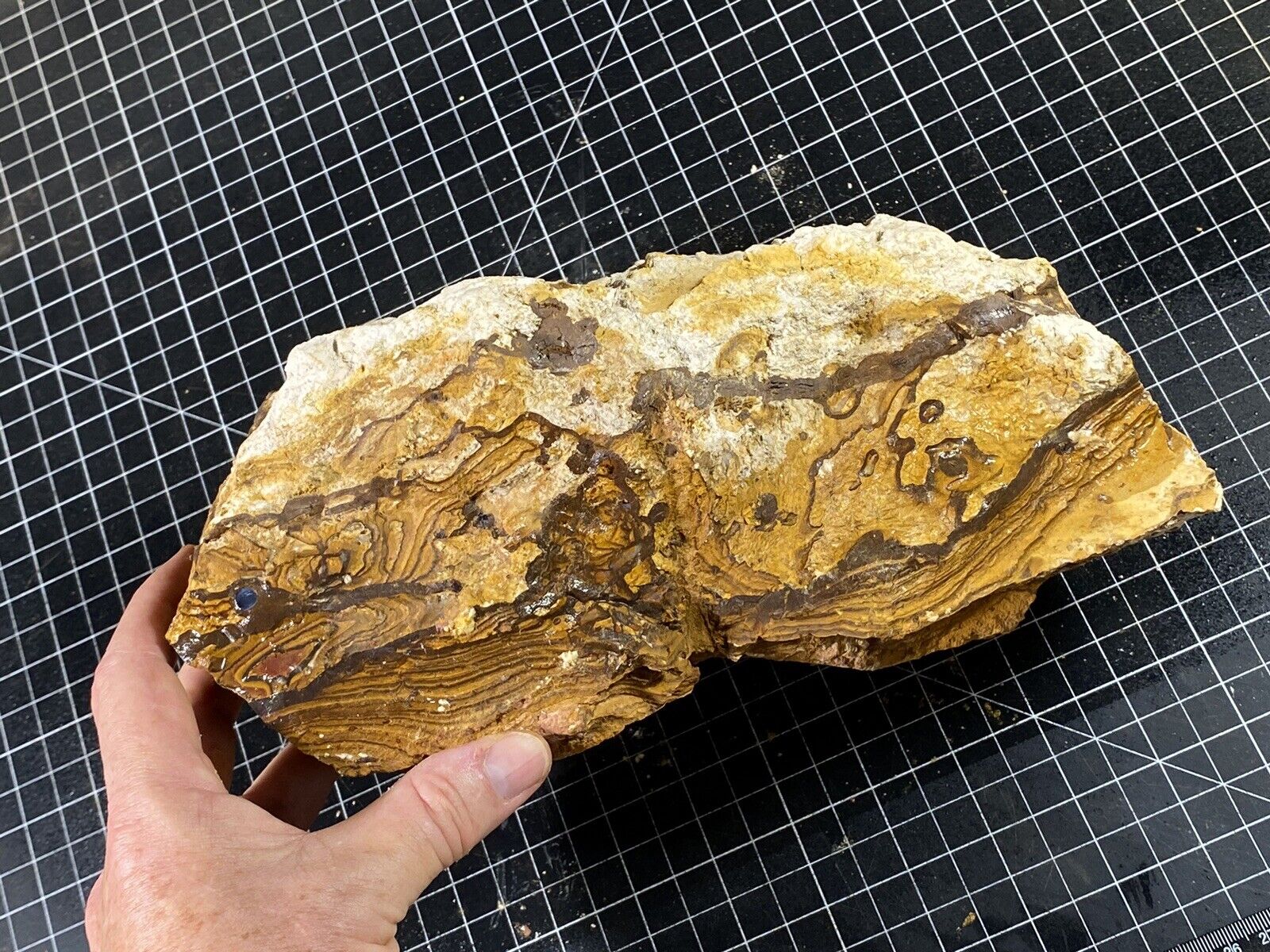 [+] Rough Koroit Boulder Opal - Parcel CHK - 5,415 grams