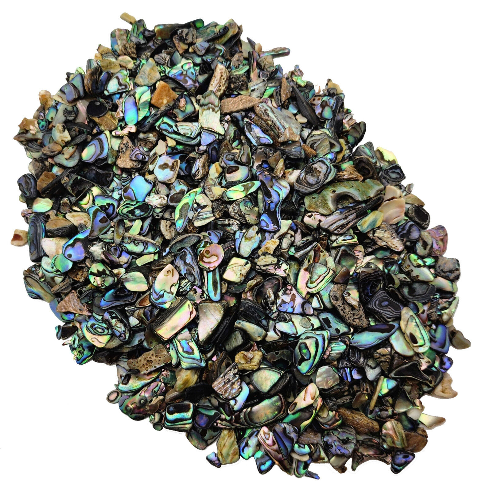 Paua Shell Pieces - Satin -  3mm - 13mm - 1/4 lb Lot - Abalone