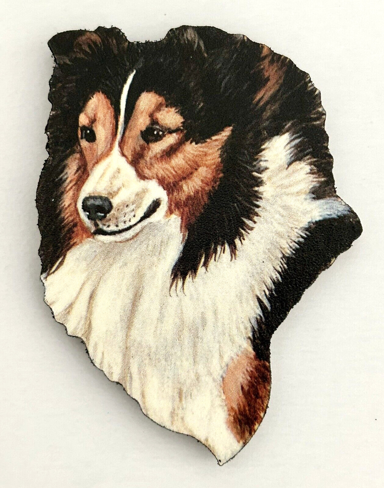 Shetland Sheepdog Fridge Magnet ~ By Chuck Brown ~ Sheltie with White Blaze