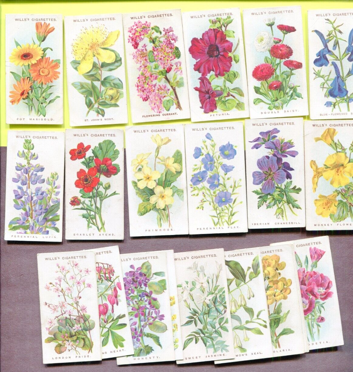 1913 WILLS CIGARETTES 2ND SERIES OLD ENGLISH GARDEN FLOWERS 25 TOBACCO CARD LOT