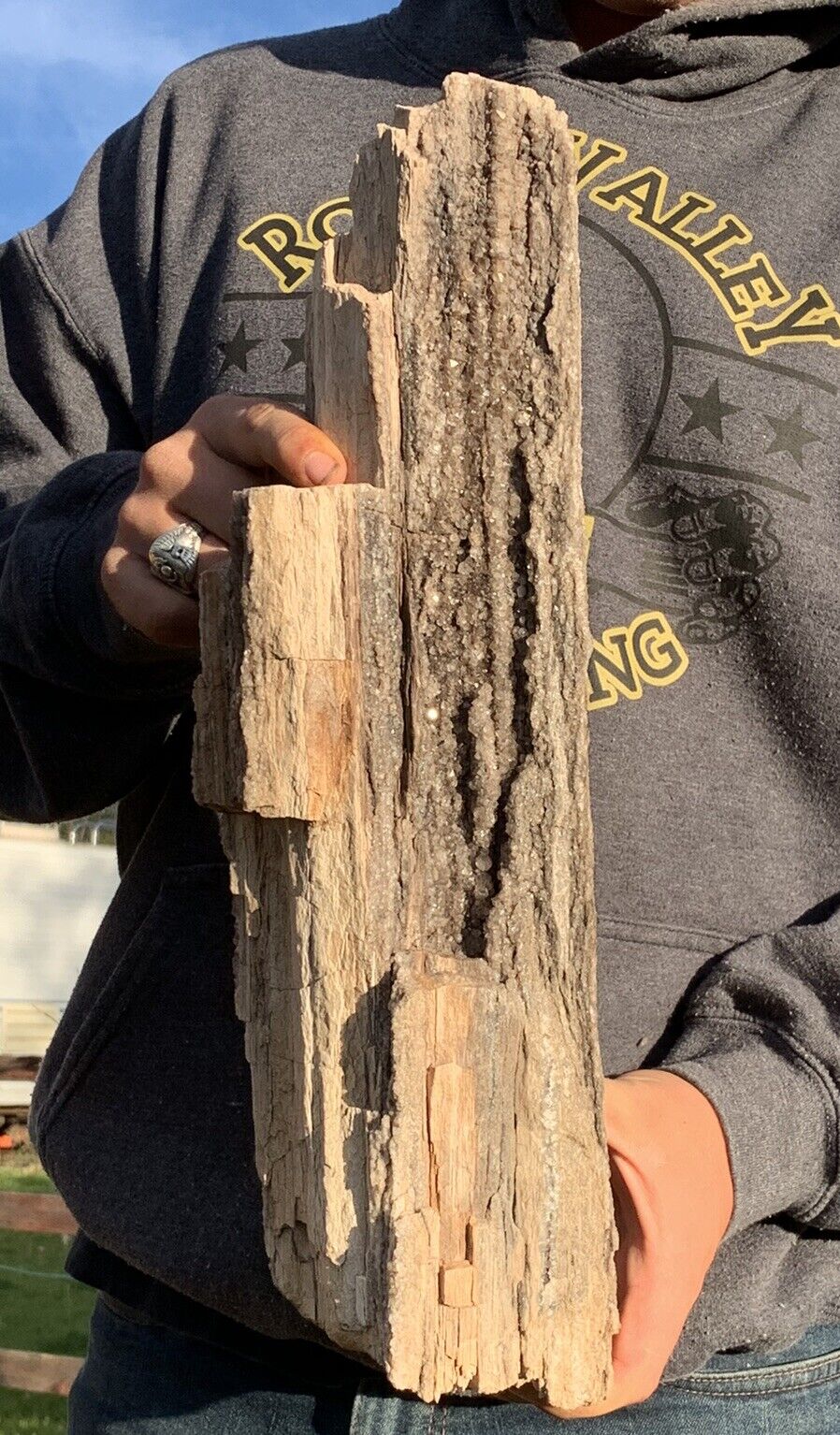 ☘️RR⛏️: Arizona Petrified Wood Log Loaded With Smoky Quartz, 17”
