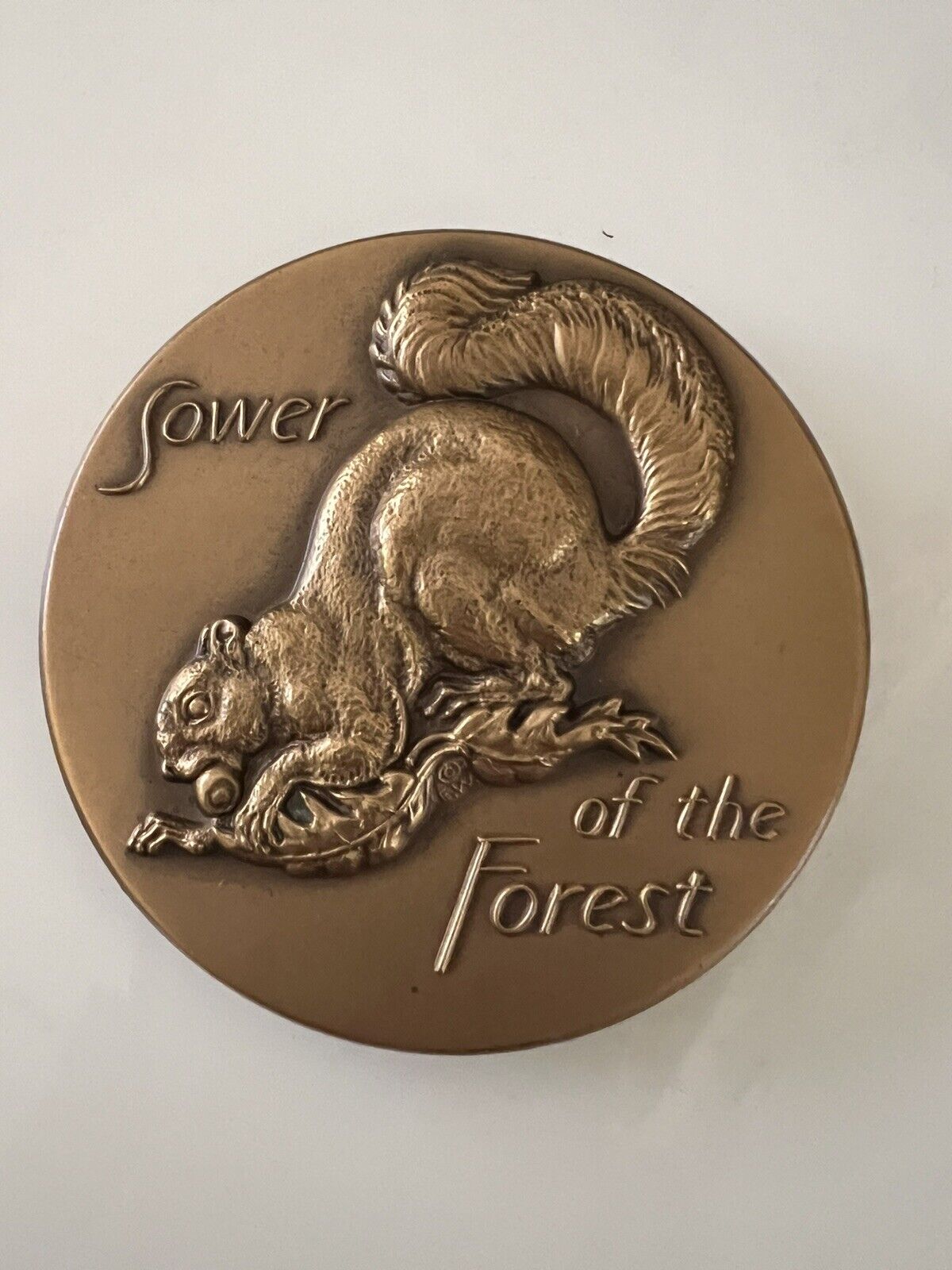 Vintage Squirrel Bronze Medallion 