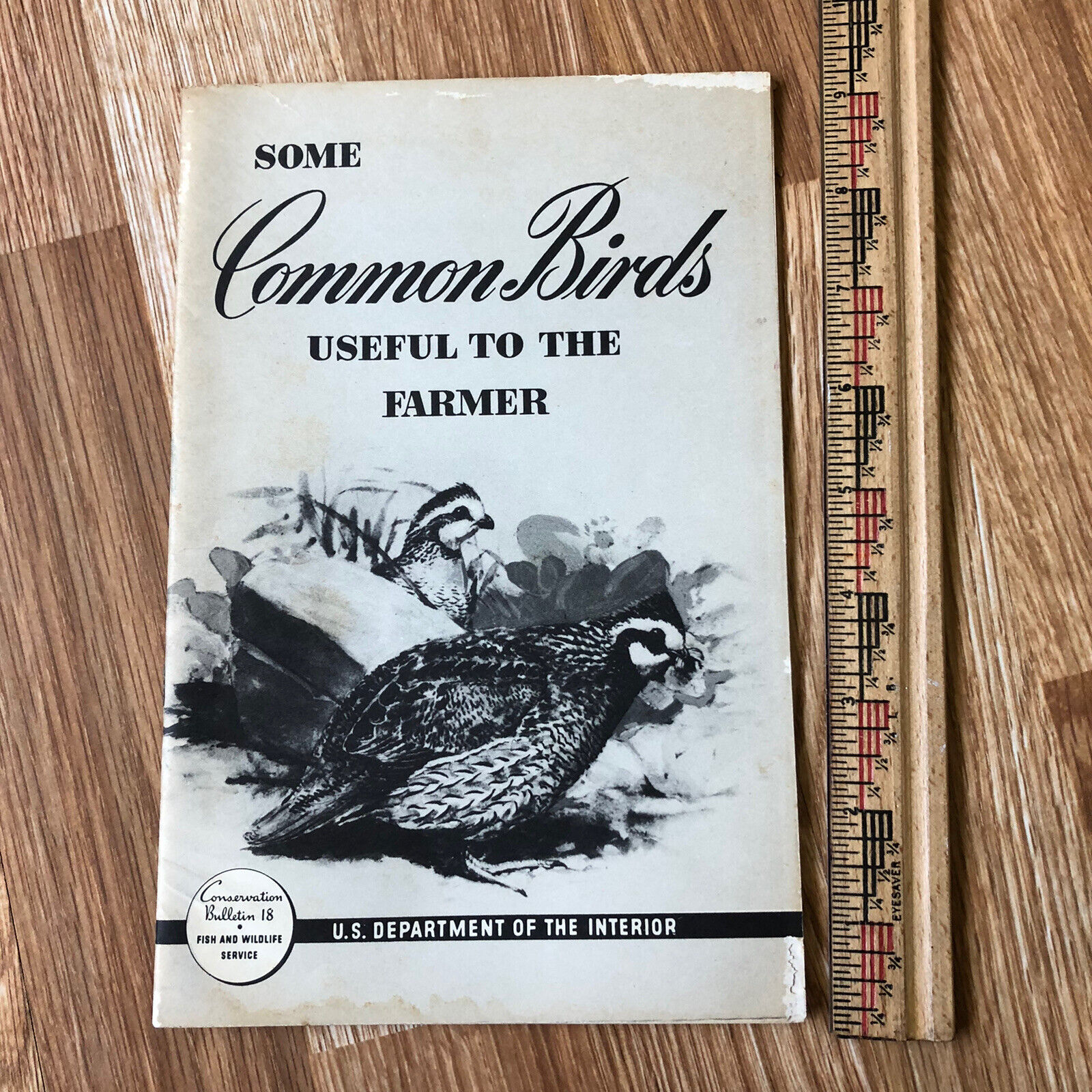 Some Common Birds Useful to the Farmer 1937 US Dept of Interior Booklet Vintage