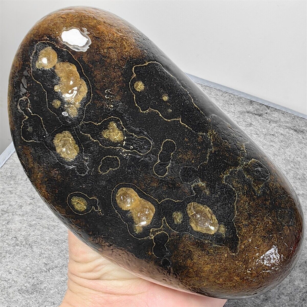 2.45LB Bonsai Suiseki-Natural Gobi Agate Eyes Stone-Rare Stunning Viewing S359