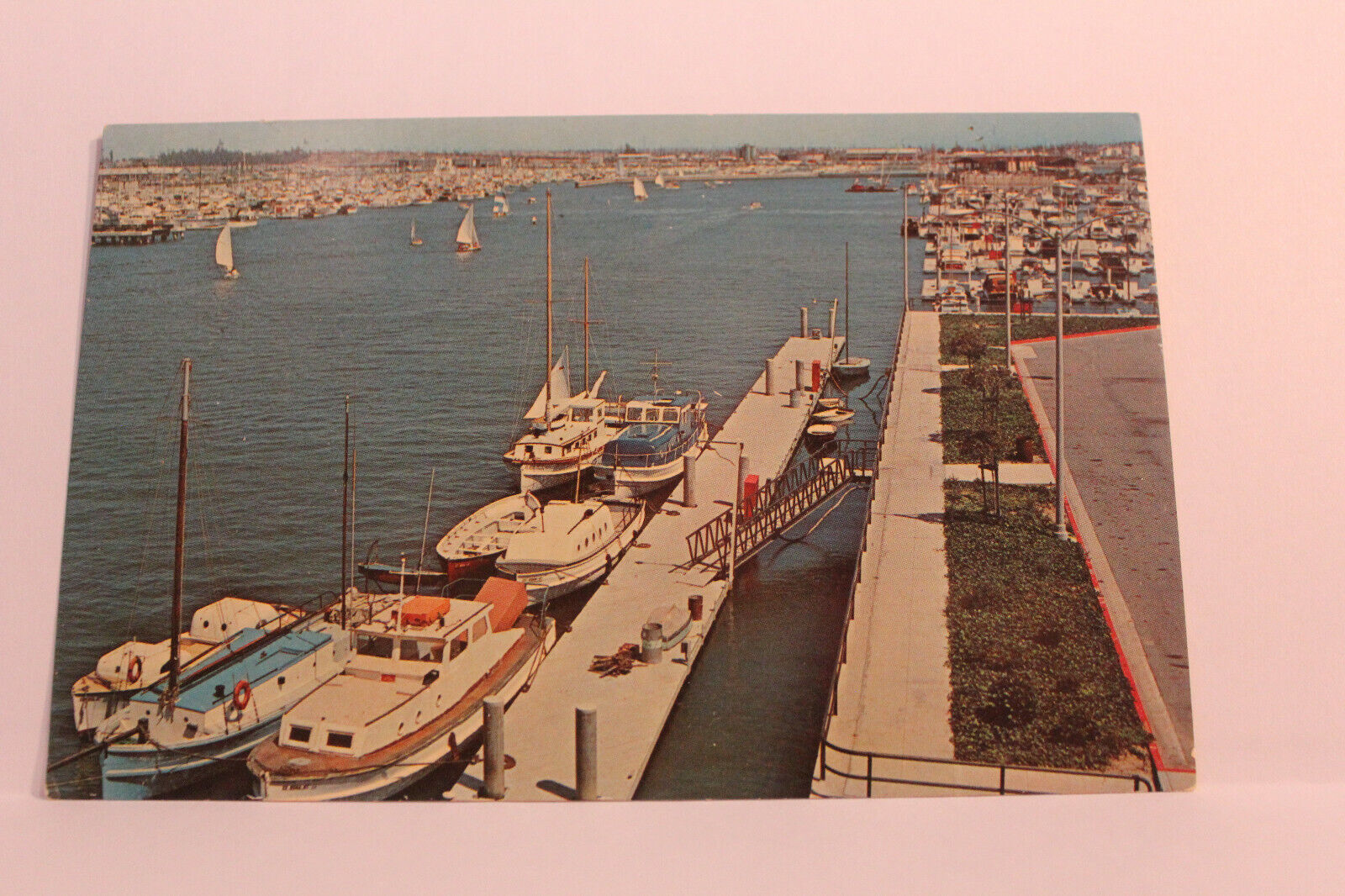 Postcard The Marina At Long Beach Color by Geo. E. Watson California CA