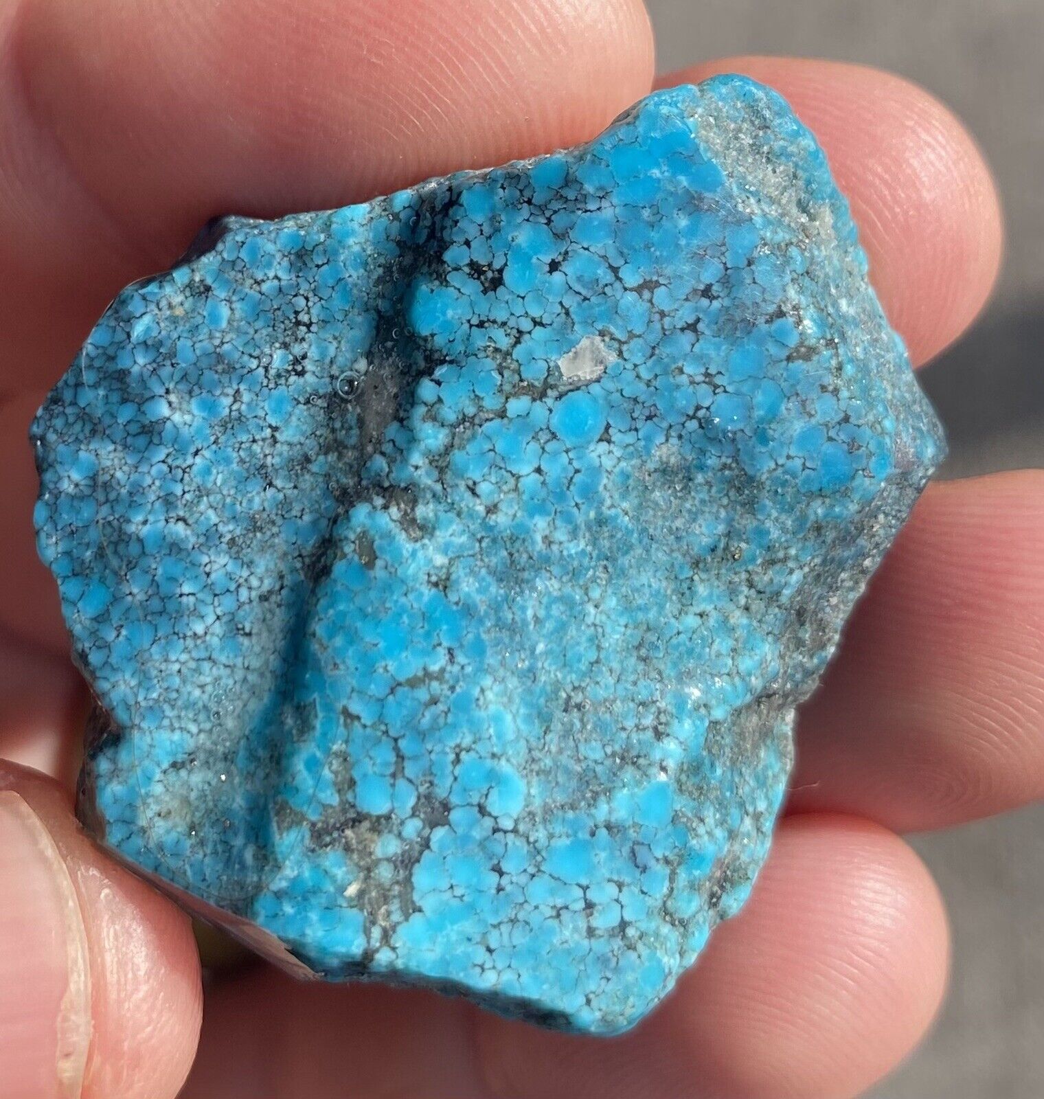 31g Old Stock Ithica Peak World Class Webbed Turquoise Nugget