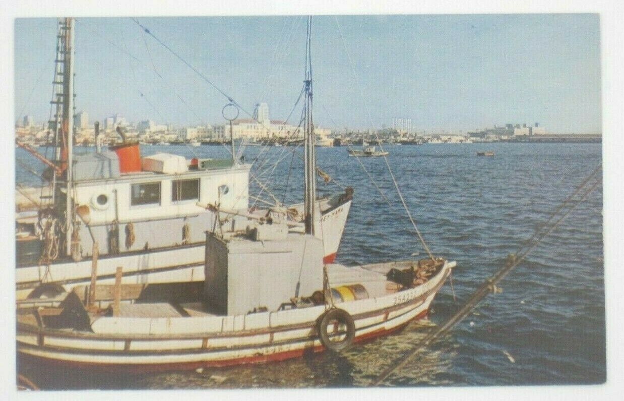 VTG San Diego Harbor California Fishing Boat Looking Over City Postcard (A42)