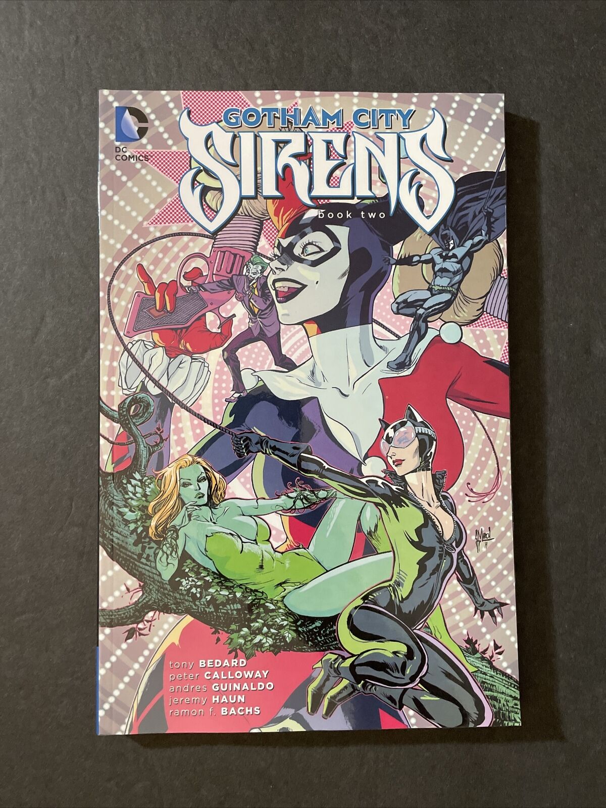 Gotham City Sirens TPB Book  Two Vol 2 DC Comics Graphic Novel High Grade Unread