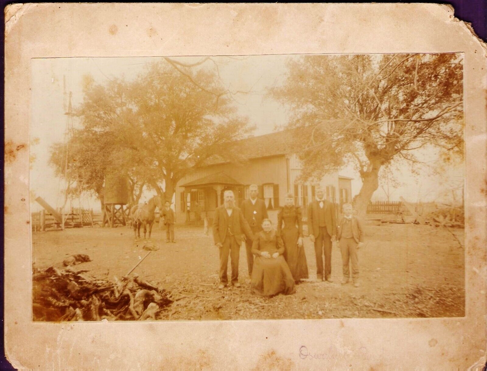 Family Posing in Front of their Country Home Horse & Dogs Cabinet Card Texas