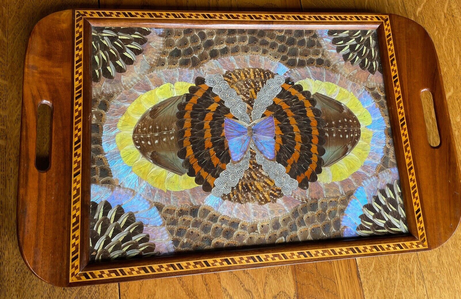 Vintage Brazilian Butterfly Wing Inlaid Wood Serving Tray Excellent Condition
