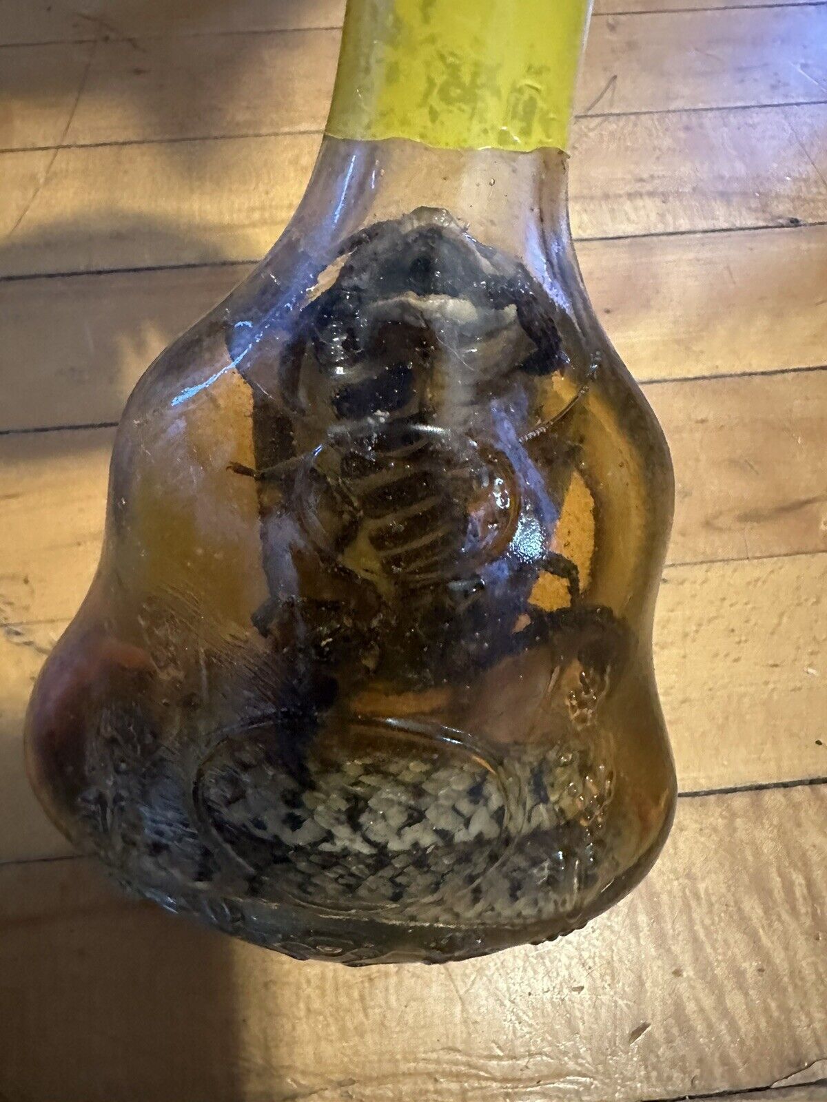 real cobra snake and a scorpion in a large X O glass bottle 7