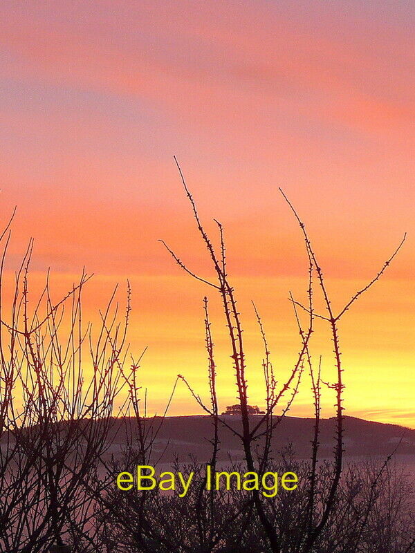 Photo 6x4 May Hill, midwinter dawn Bromsash Just after 8am on Boxing Day  c2010