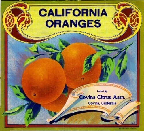 Covina Los Angeles County California Orange Citrus Fruit Crate Label Art Print