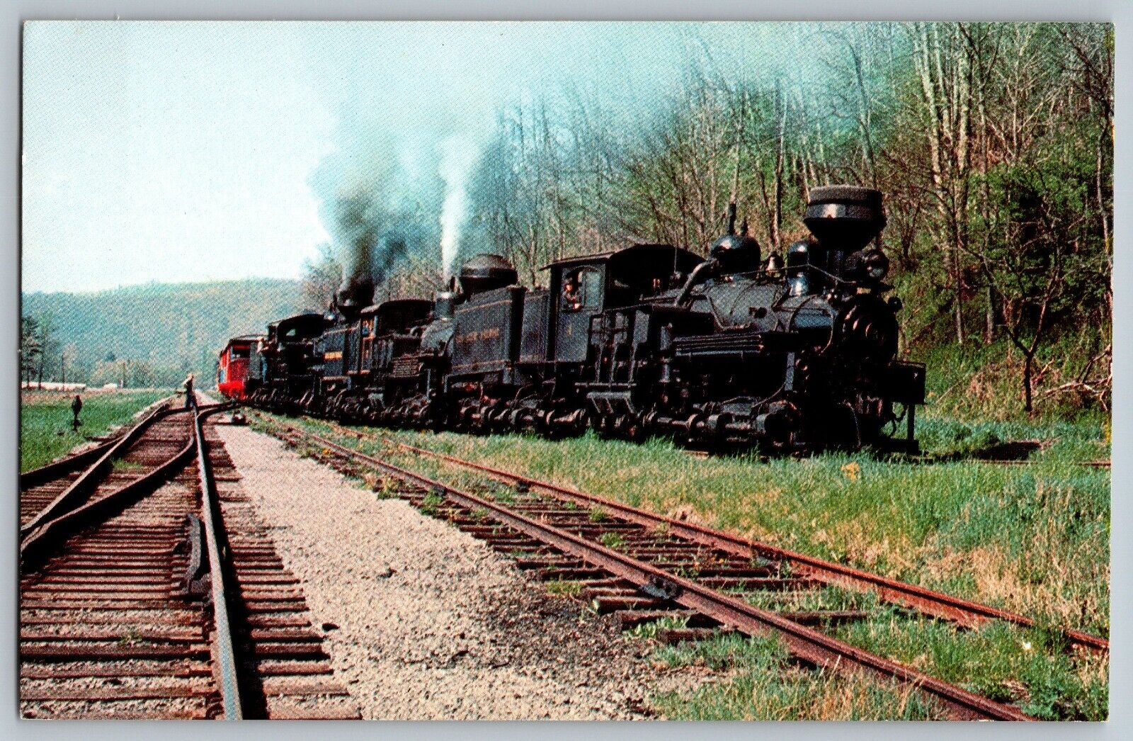 West Virginia - Massive Shay Engines - Cass Scenic RR Train - Vintage Postcard
