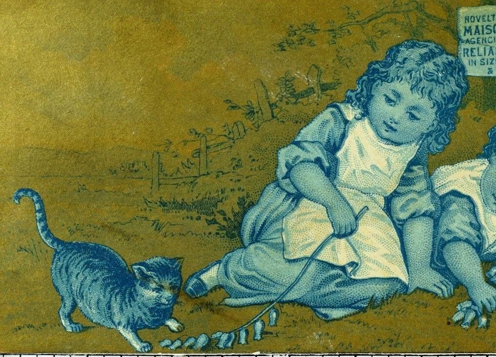 1881 Demorest\'s Emporium World\'s Fair Back Kids Teasing Cat Trade Card F76