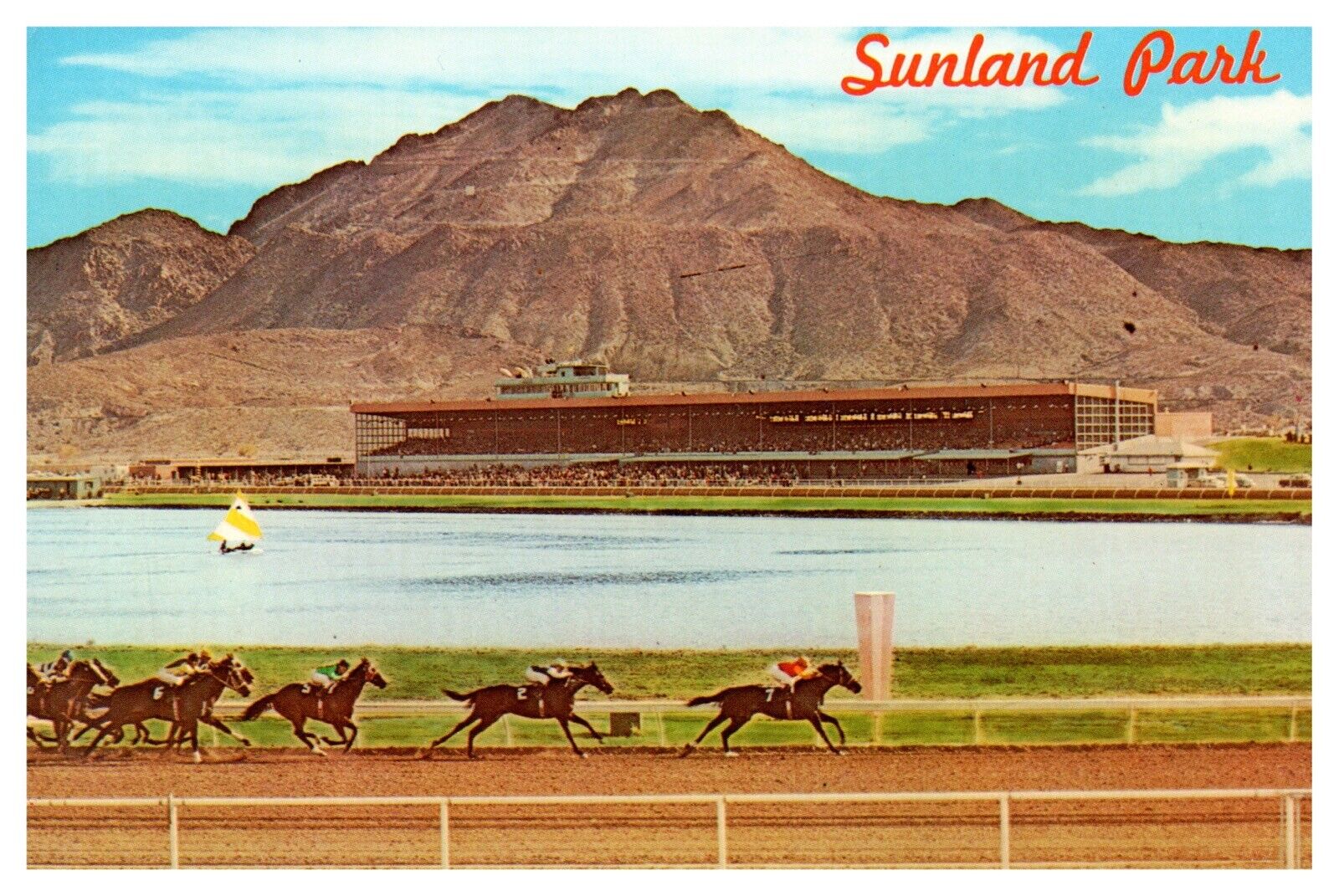 Sunland Park New Mexico Desert Southwest Unp Wob Chrome Postcard