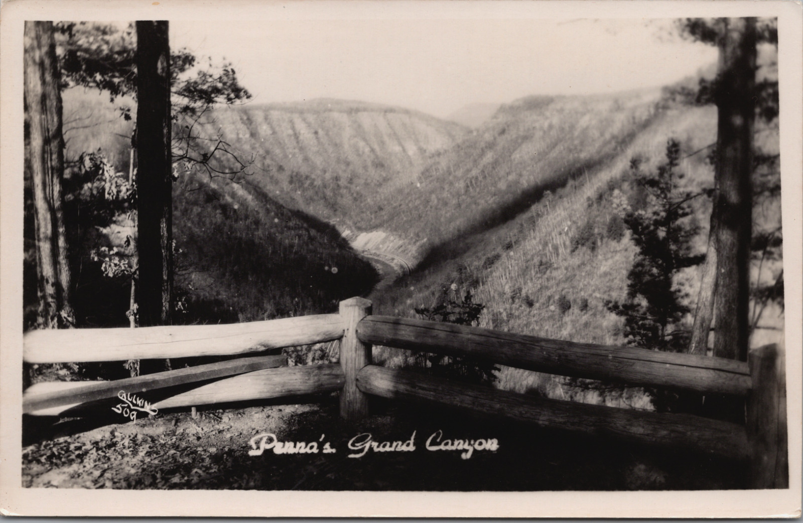 RPPC c1930s Colton State Park PA Viewpoint Pine Creek Gorge Canyon Log Fence UNP