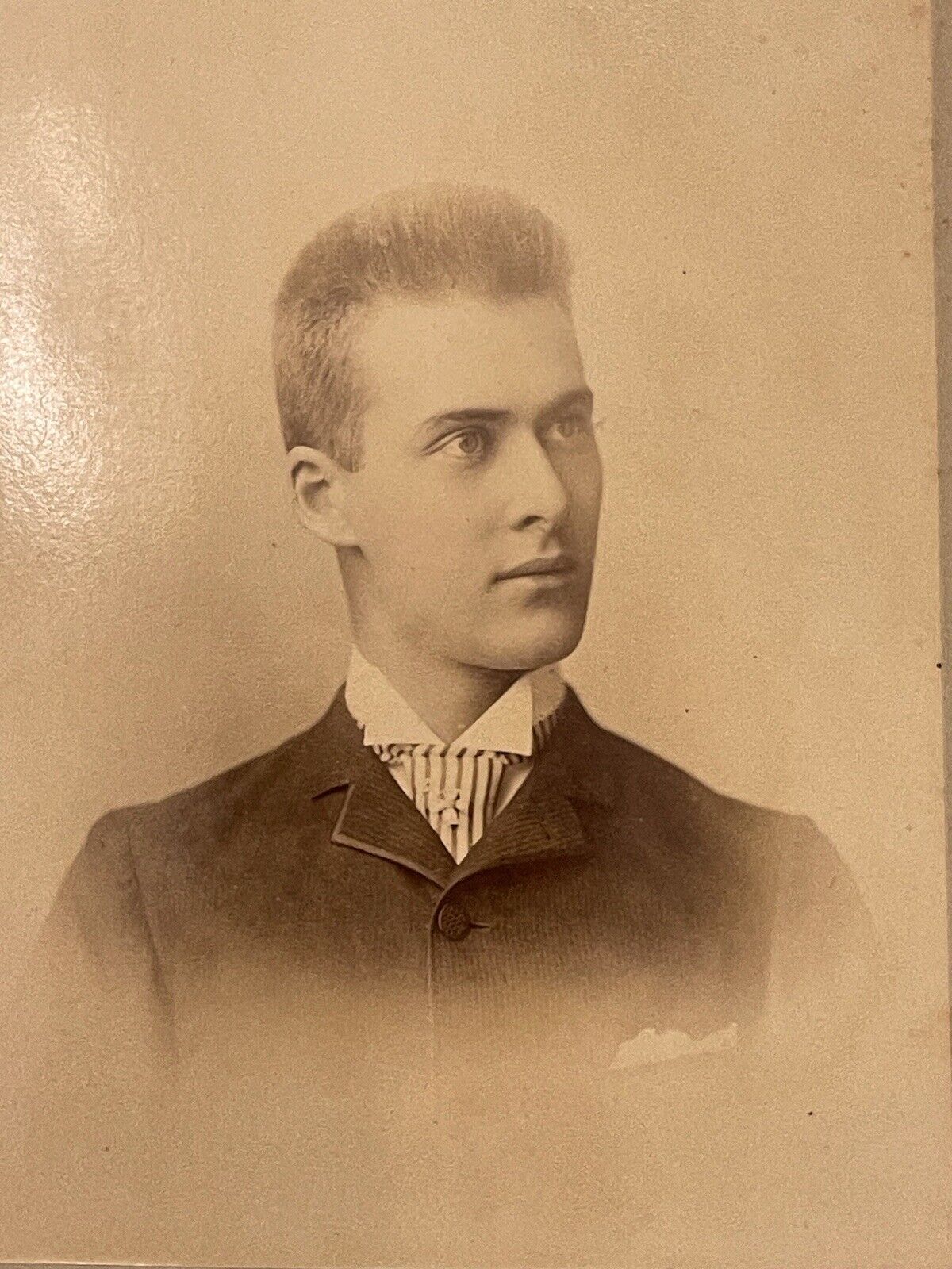 Young Man With Tall Coifed Hair In Suit Pinstripe Tie Chicago IL 1880s Cabinet 