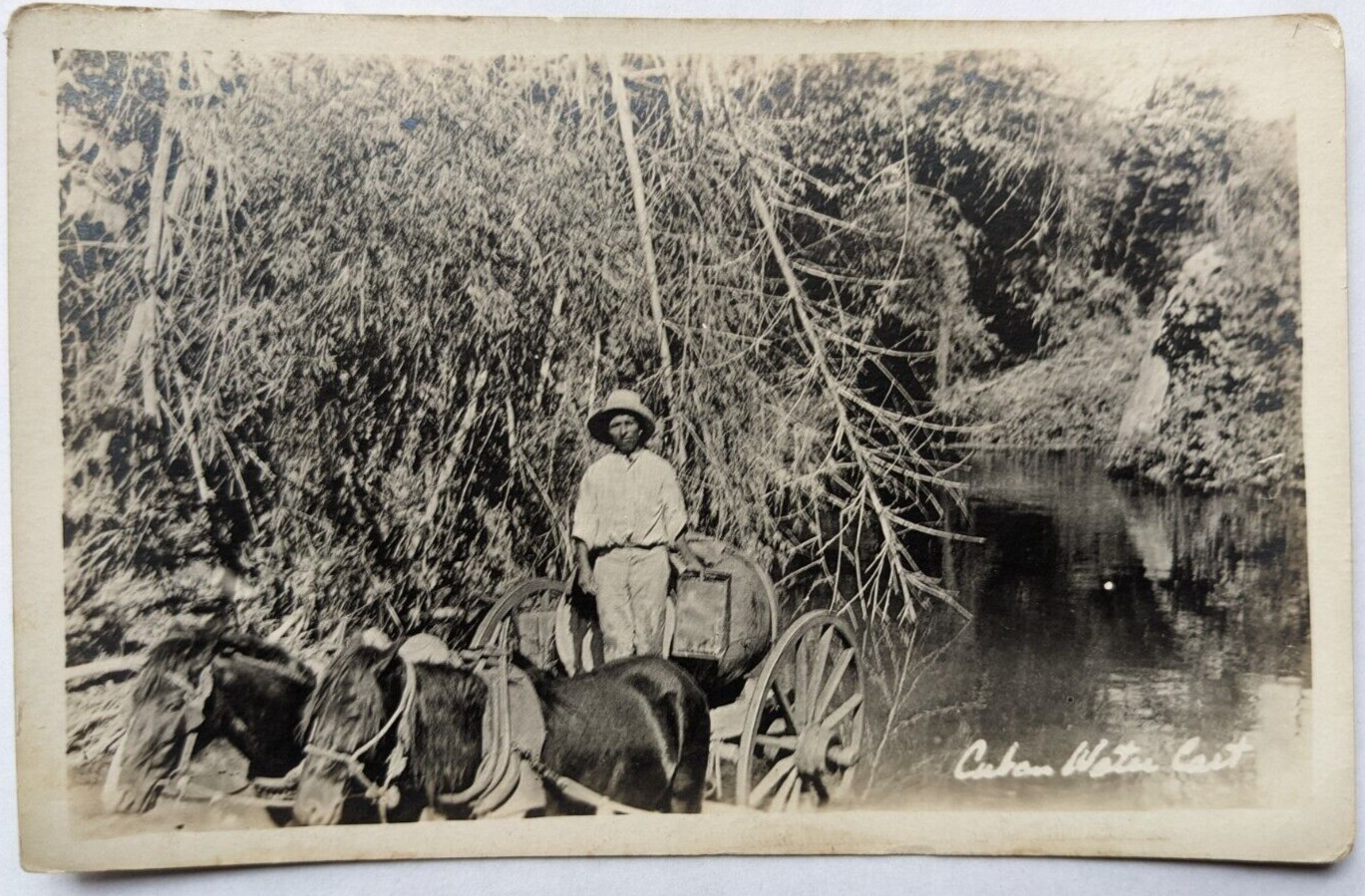Vintage Antique CUBA RPPC Real Photo Postcard Cuban Water Cart Horses Barrels