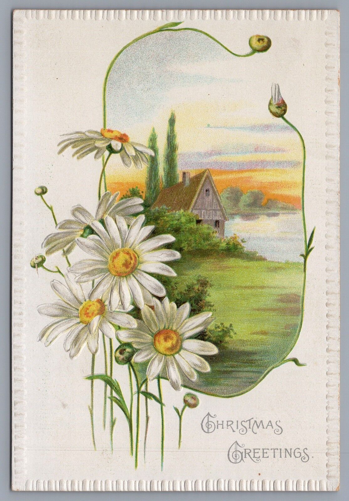 c 1910 Antique Christmas Card Postcard Daisies Cabin Lake Raphael Tuck Limited