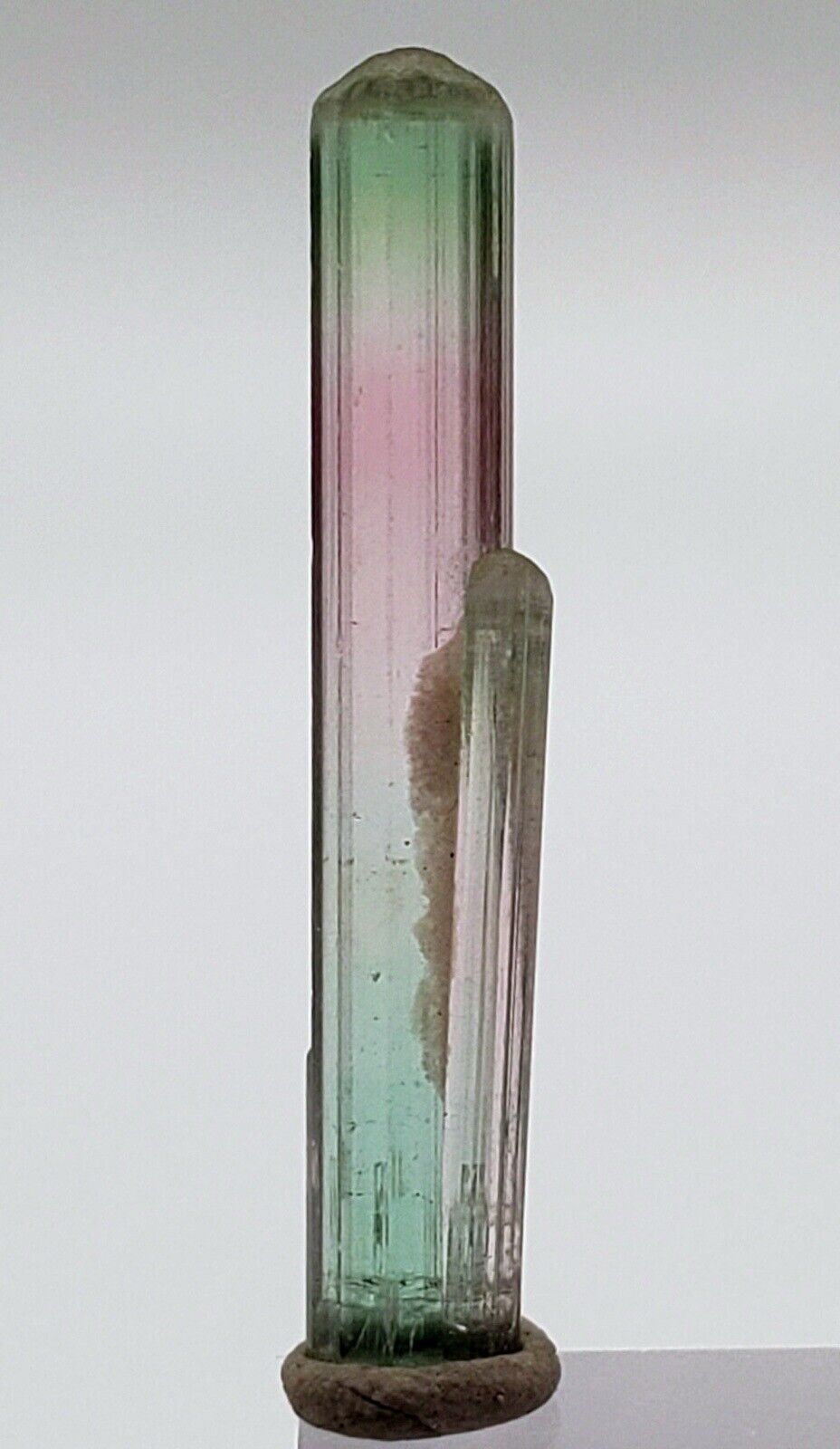 Top Bi-Colour Tourmaline Crystal From Laghman Mine.