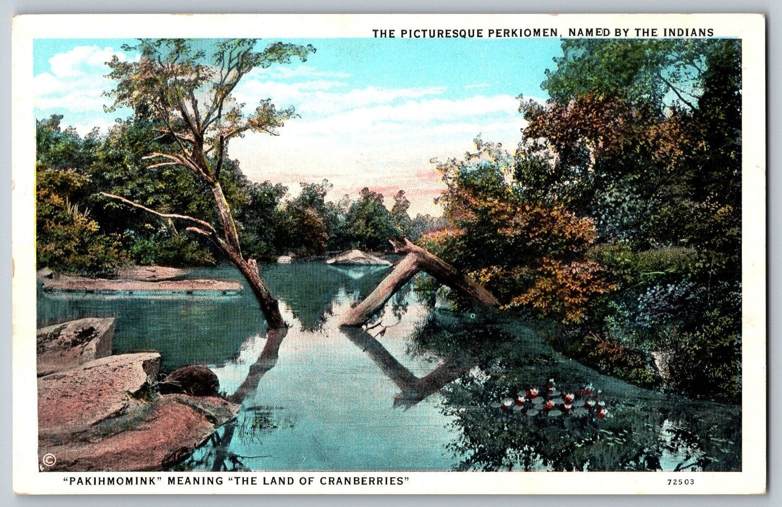 The Picturesque Perkiomen Lake - By the Indians - Vintage Postcard - Unposted