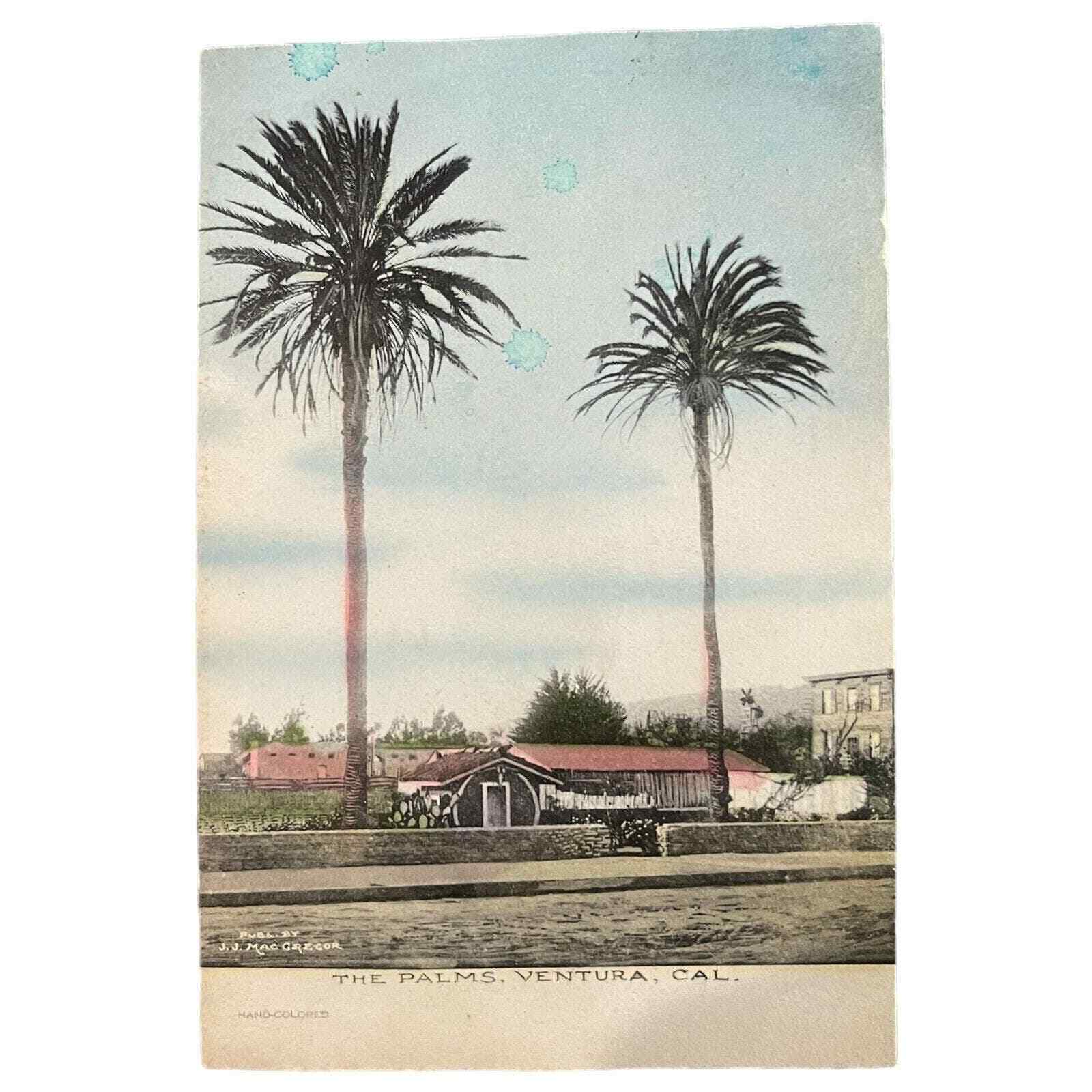 Antique Post Card 1907 The Palms Venture California
