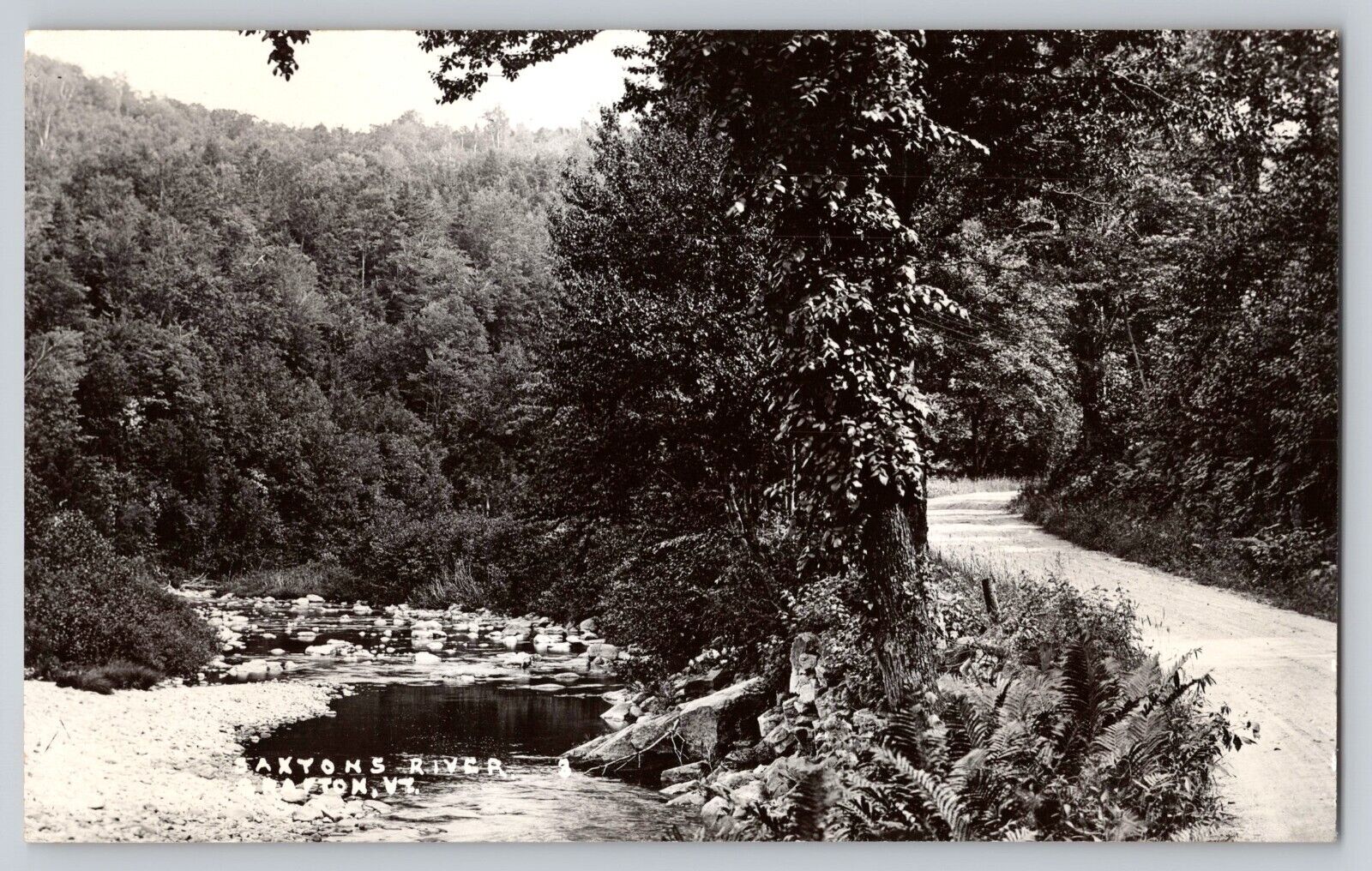 Postcard RPPC Saxton\'s River Vermont VT Trail River Landscape