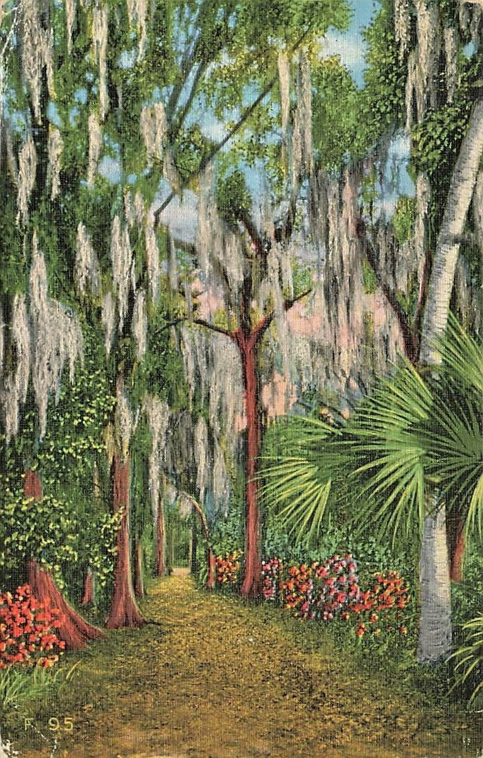 c1940s Lovers Lane McKee Jungle Gardens Linen Vero Beach Florida FL P396