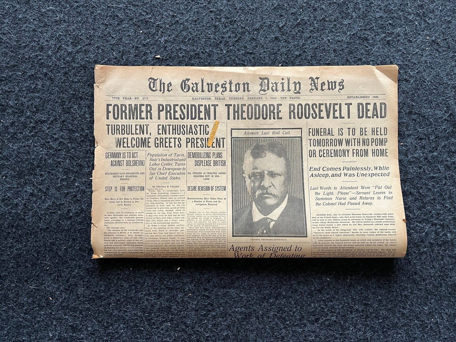 1919 Teddy Roosevelt Memorial Section, Roosevelt Day, Theodore Roosevelt Death 