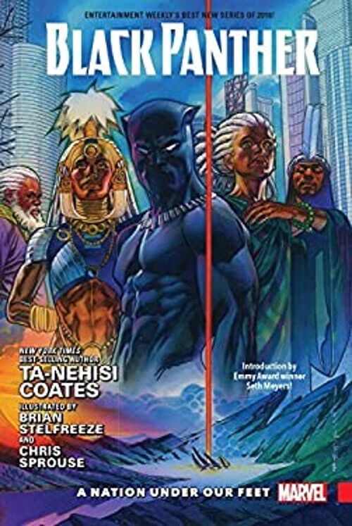 Black Panther Vol. 1: a Nation under Our Feet Hardcover Ta-Nehisi
