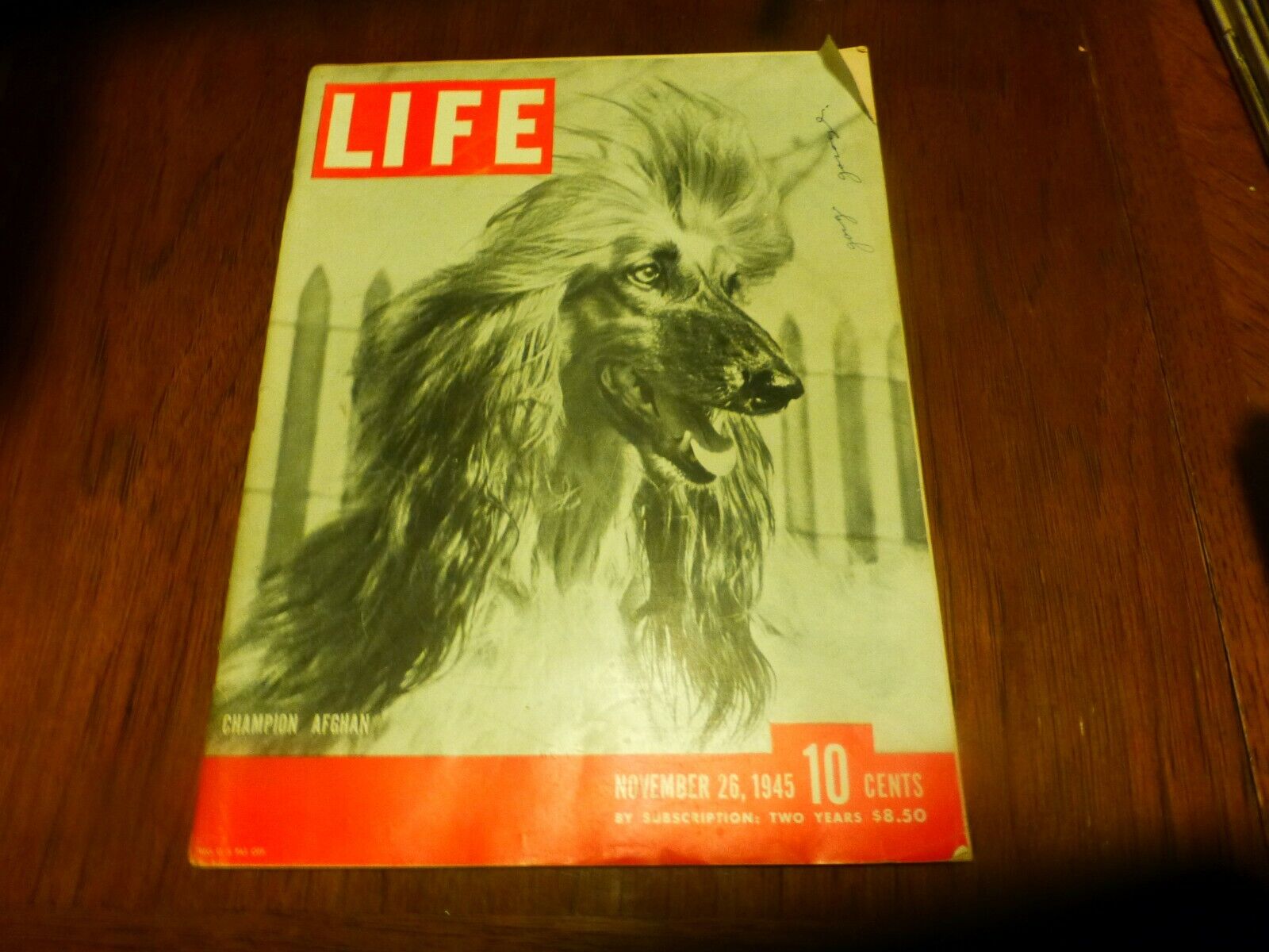 Vintage LIFE Magazine Nov 26, 1945 Champion Afghan Dog fence in background