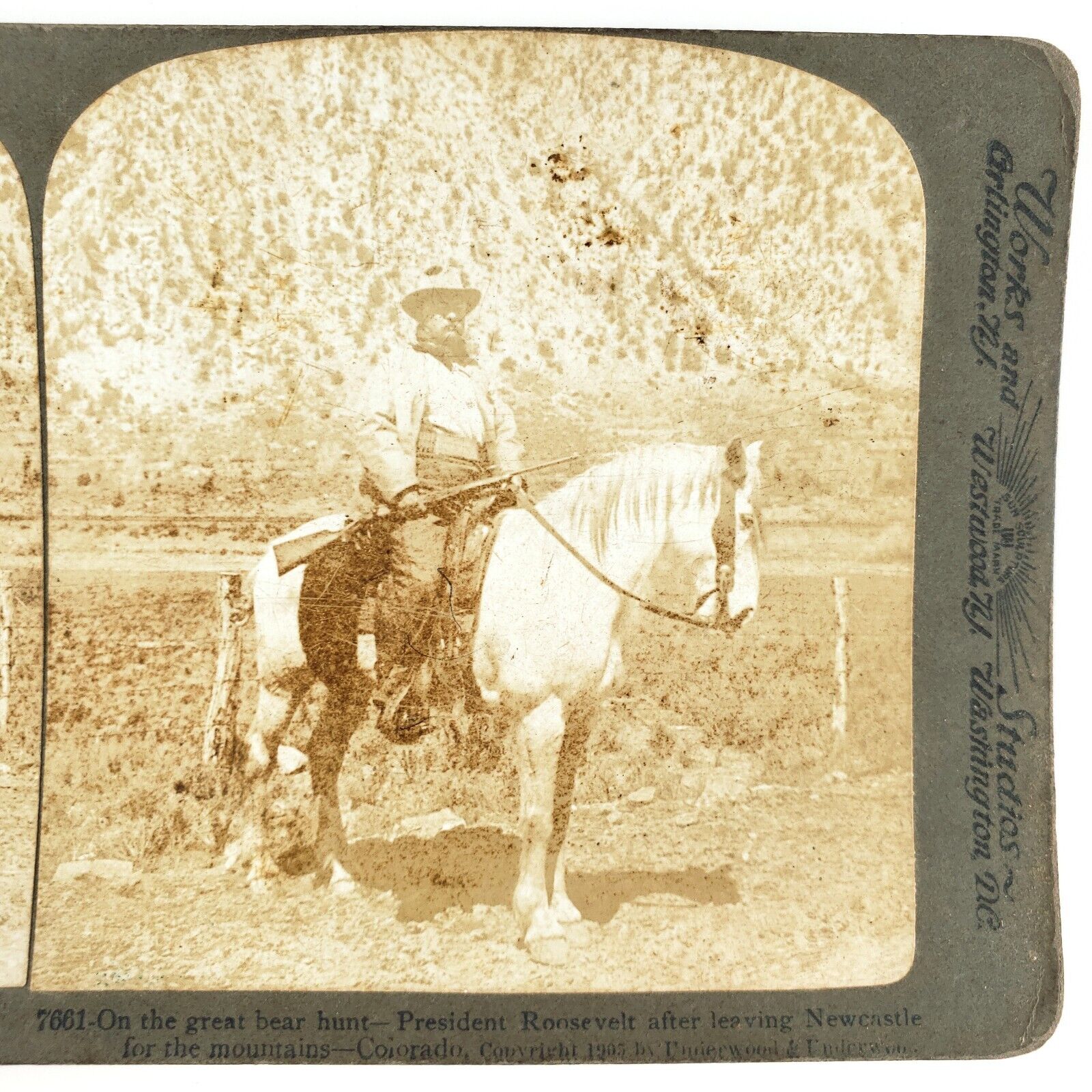 President Roosevelt Bear Hunting Stereoview c1905 Underwood Rough Rider H1705