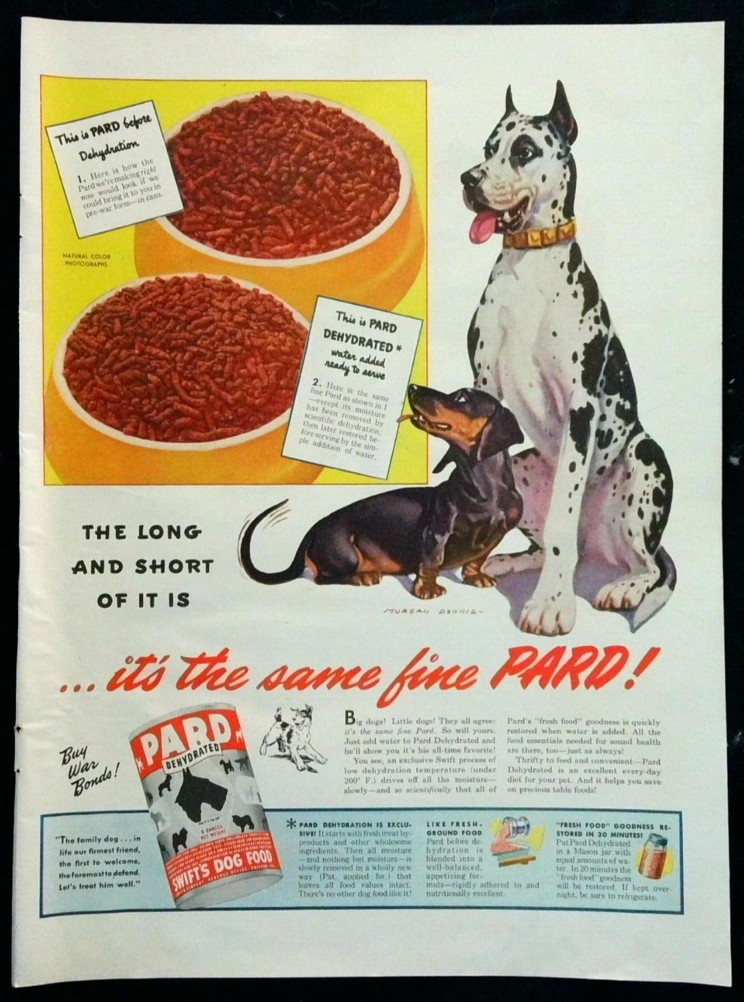 1944 Pard Dog Food Vintage Print Ad Great Dane & Dachshund