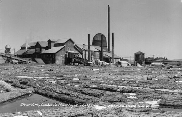 Clover Valley Lumber Co. Mill at Loyalton California 1950s view OLD PHOTO