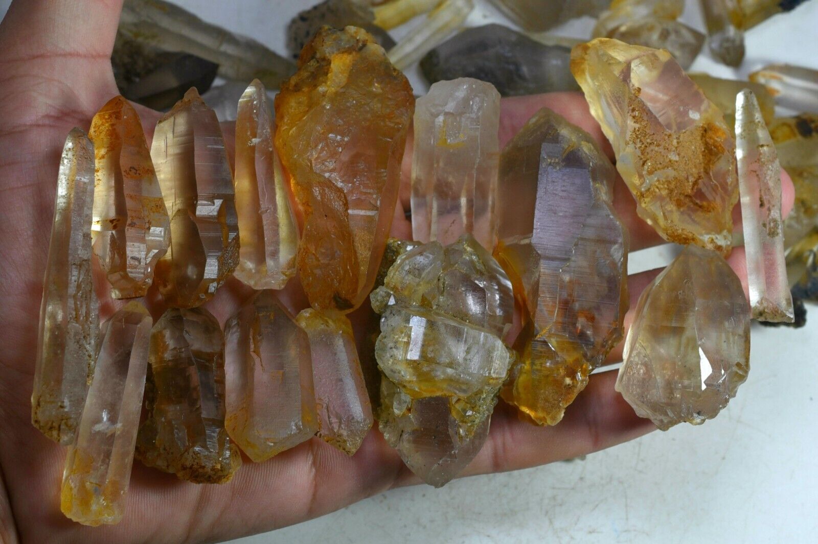 1000 GM Full Terminated Transparent Natural Smoky Quartz Crystals Minerals Lot