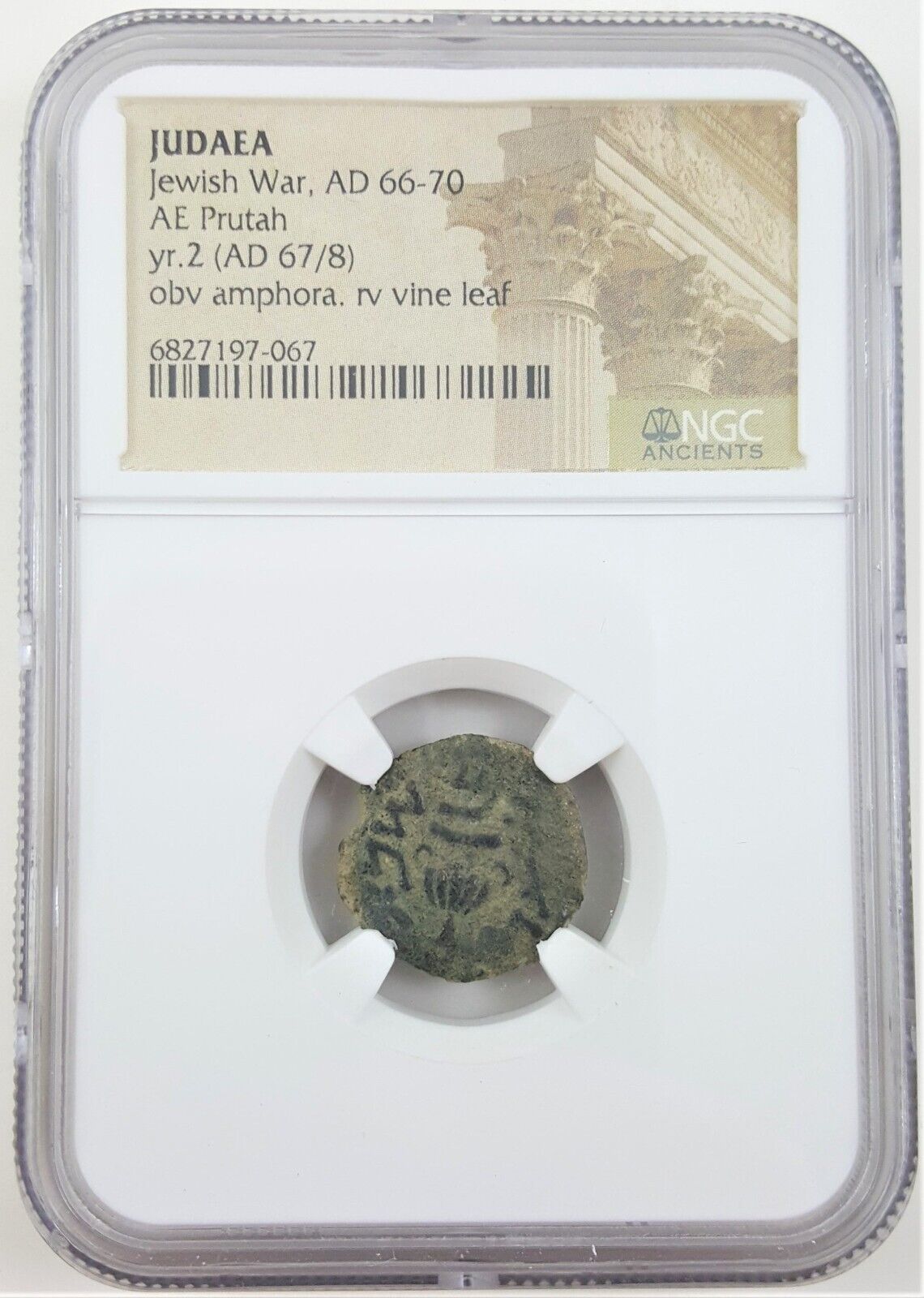 NGC Bronze Prutah of Judaea, during Revolt against Roman Empire Siege of Masada