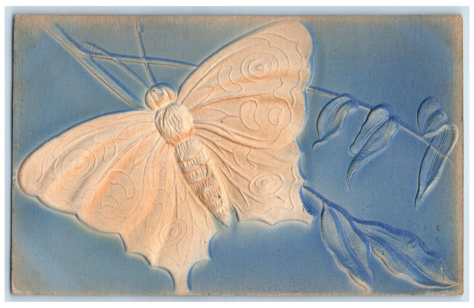 c1910\'s Big Butterfly Airbrushed Embossed Dallas Oregon OR Antique Postcard