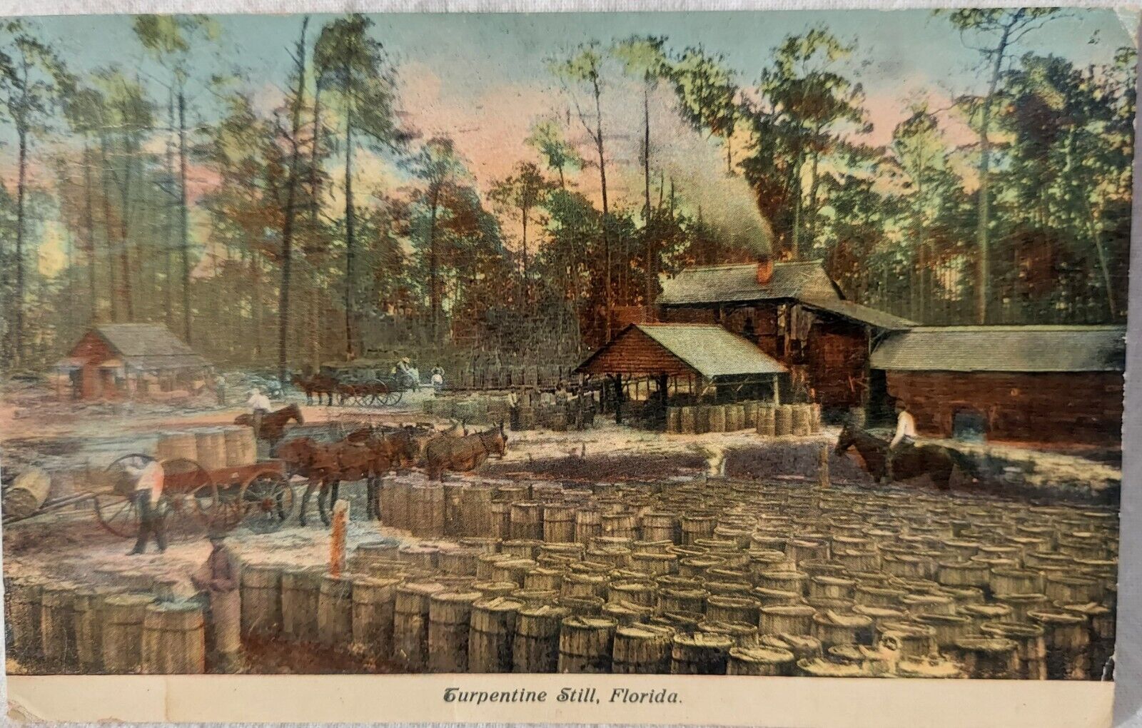 Vintage Postcard Turpentine Still Florida c1911 (A166)