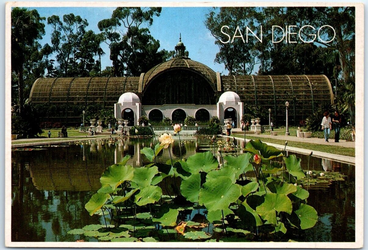 Postcard - Blooming lilies of the Botanical Gardens, Balboa Park - San Diego, CA