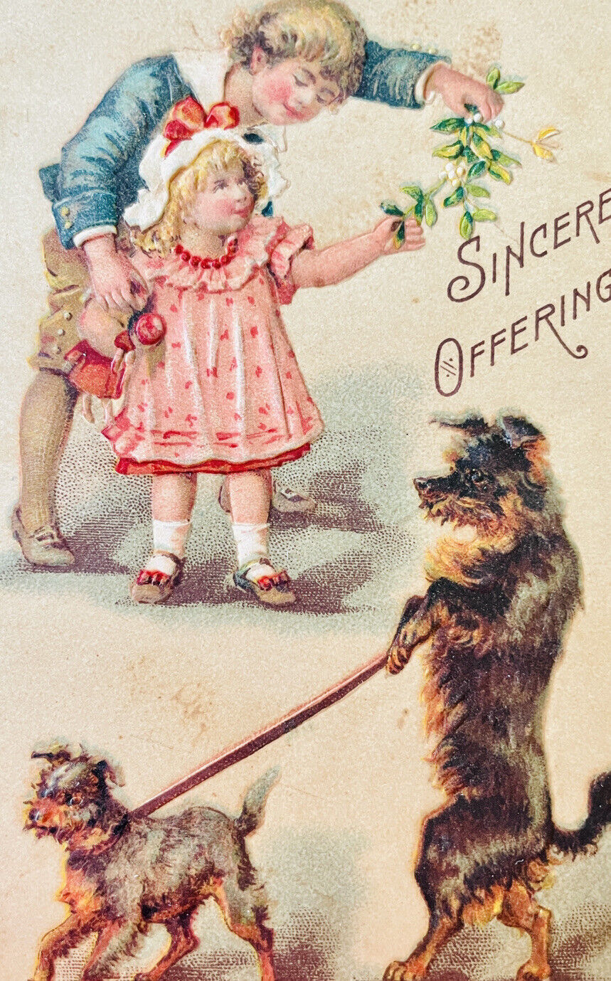 Antique 1900s German Postcard anthropomorphic dog Cute Boy Girl Mistletoe Rare